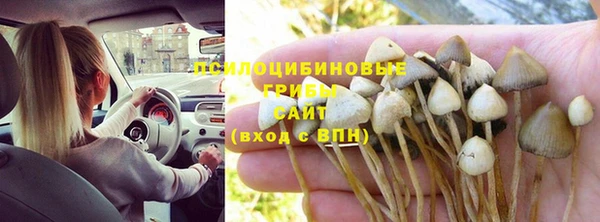 трава Абдулино