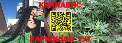 jwh Кингисепп