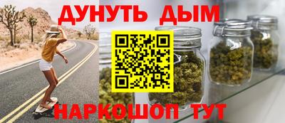 jwh Кингисепп