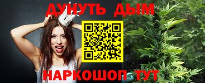 jwh Кингисепп