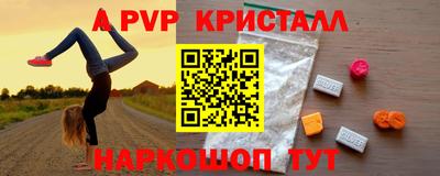 jwh Кингисепп