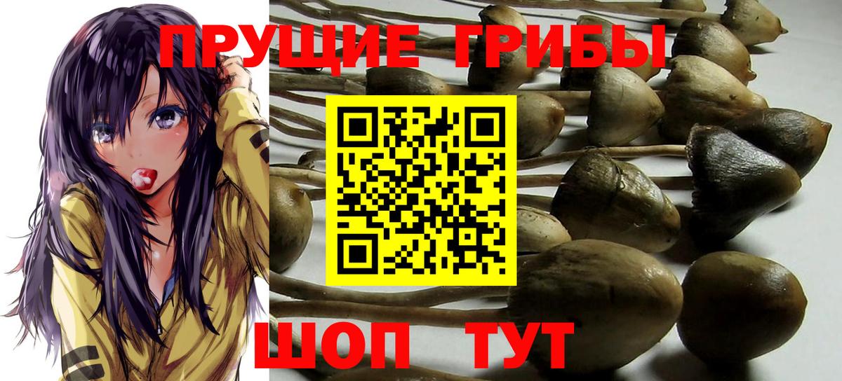 Галлюциногенные грибы ЛСД  Вход с VPN  Галлюциногенные грибы Psilocybe  Ковров 